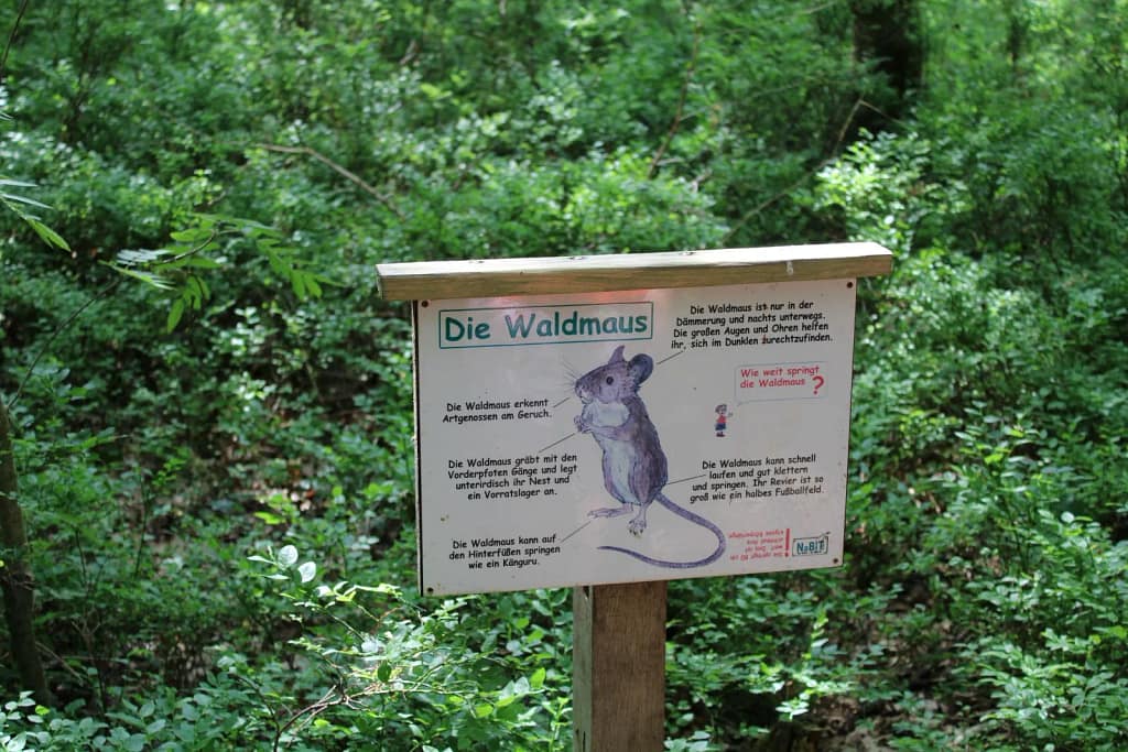 Informationstafeln