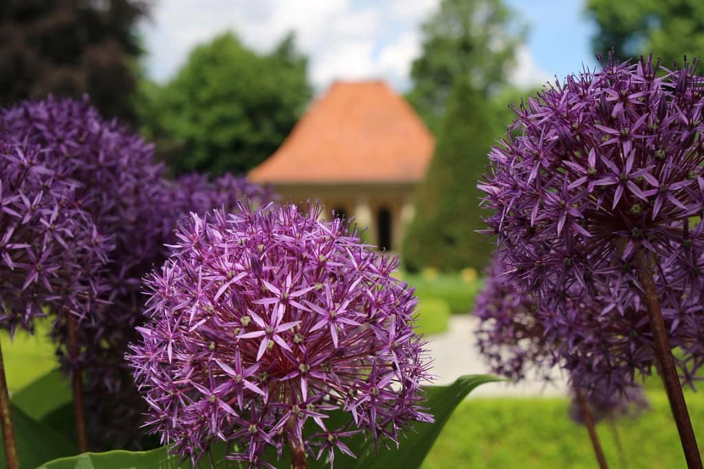 Barockgarten