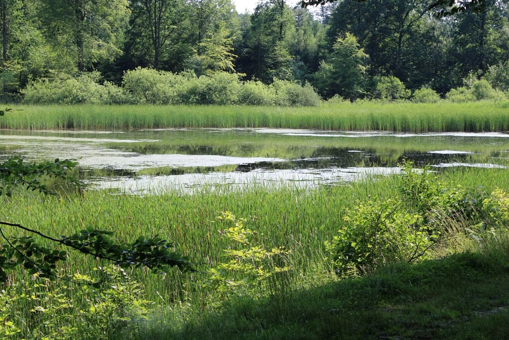 Kleiner Tümpel