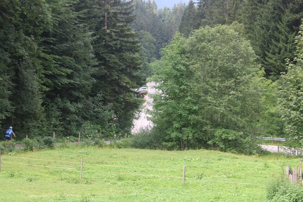 Waldweg