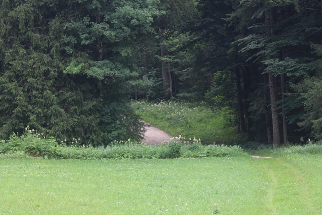 Waldweg