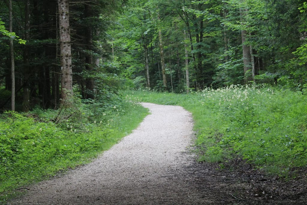 Waldweg
