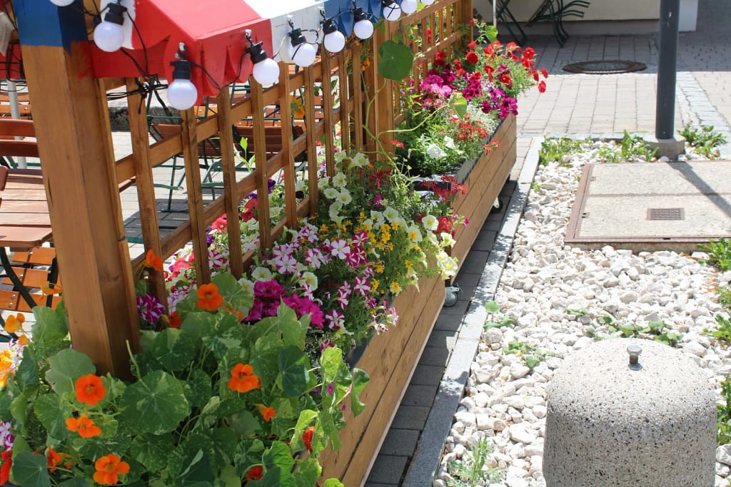 Blumenbeet