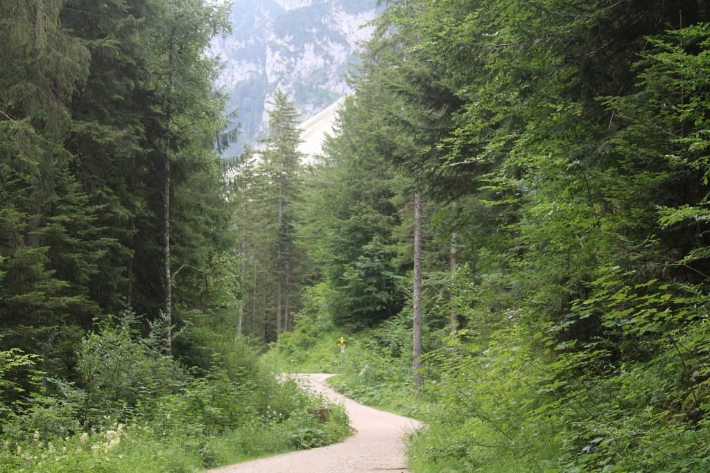 Schöner weg mit Bergen im Hintergrund