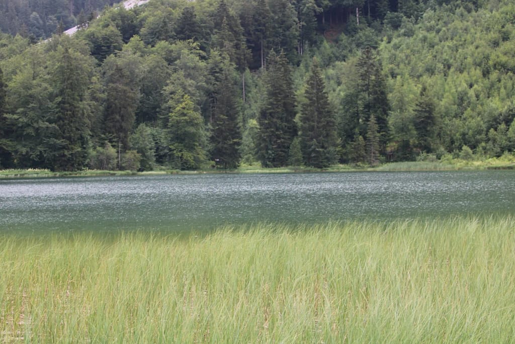 Frillensee