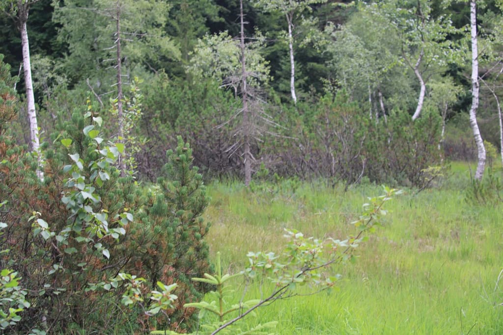 Natur genießen
