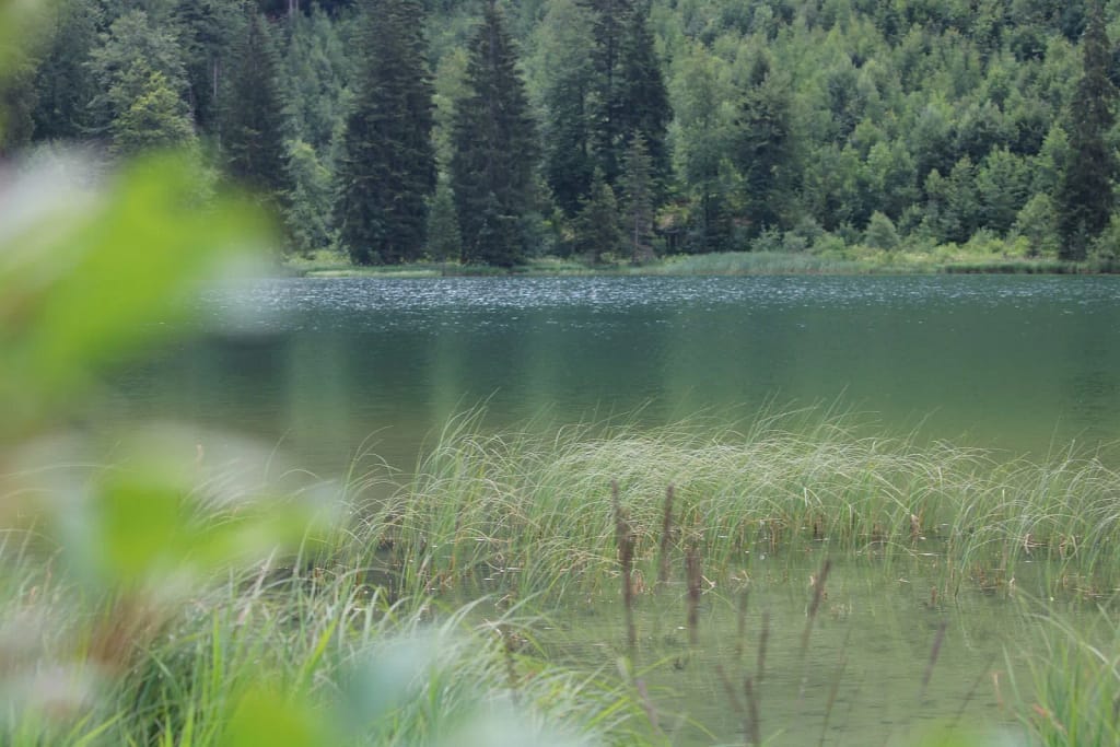 Frillensee