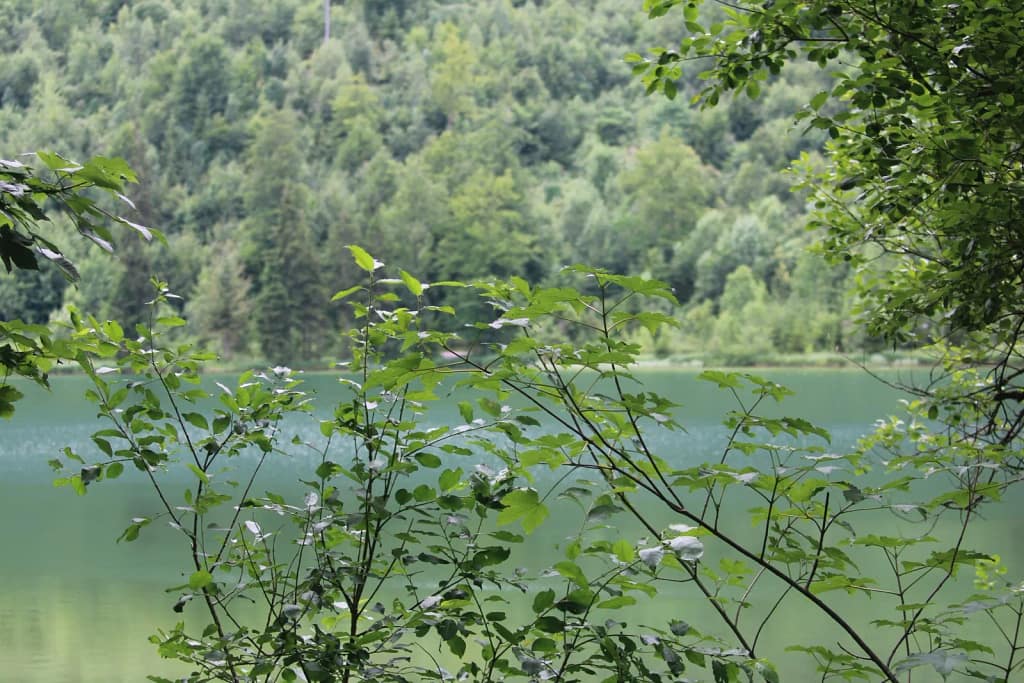 Der Frillensee