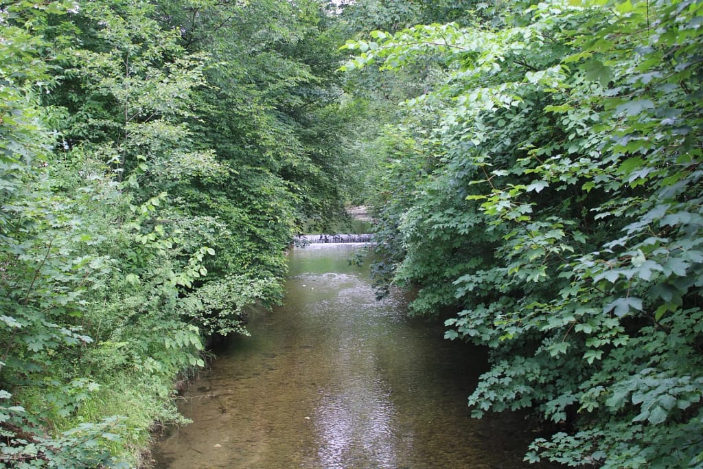 Rote Traun