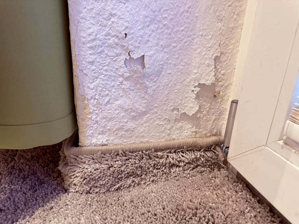 Hotel Königslinie - Zimmer Schäden an den Wänden