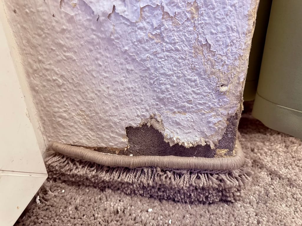 Hotel Königslinie - Zimmer Schäden an den Wänden