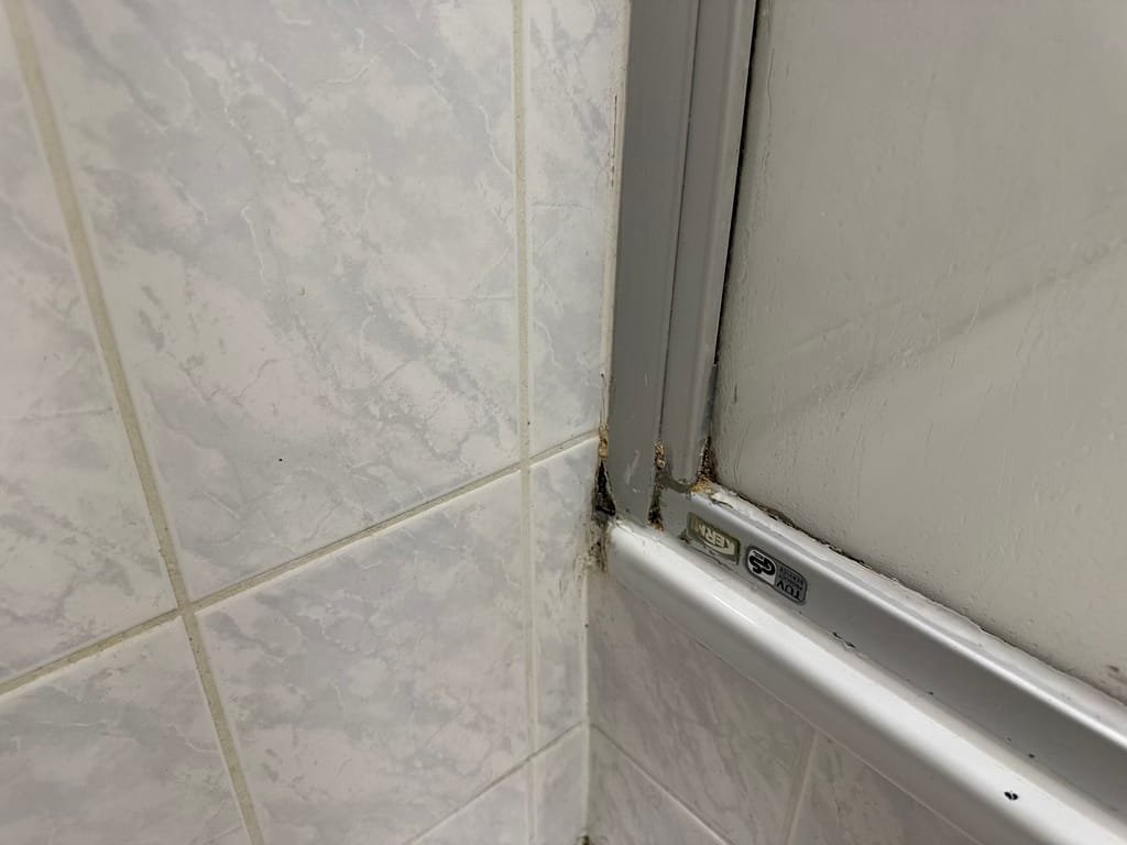 Hotel Königslinie - Zimmer Bad Dusche Schimmelig
