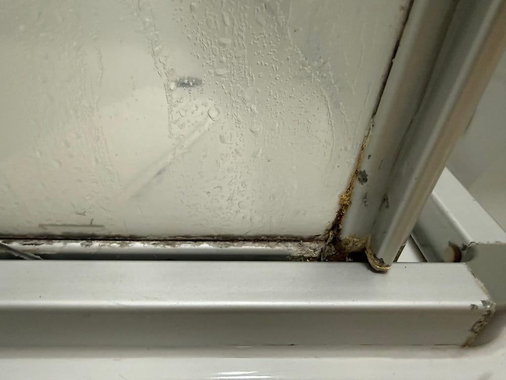 Hotel Königslinie - Zimmer Bad Dusche Schimmelig