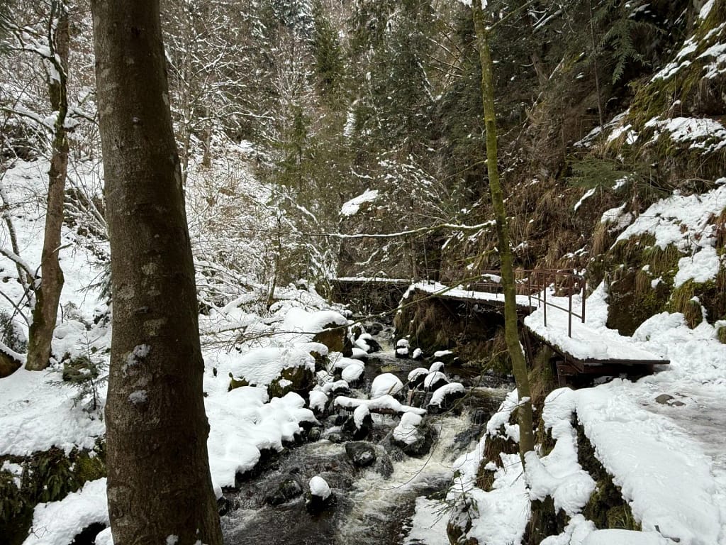 Ravennaschlucht