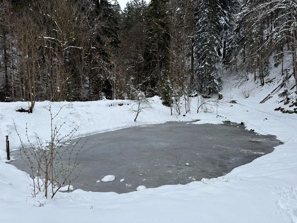 Kleiner Teich