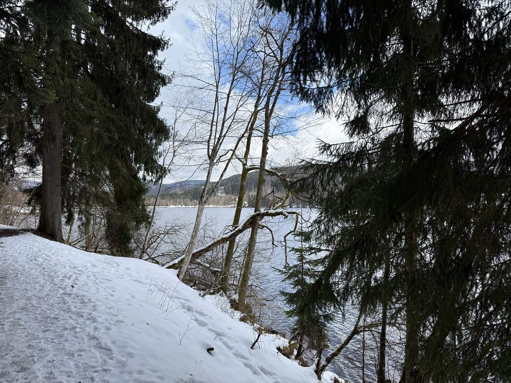 Rundgang um den Titisee