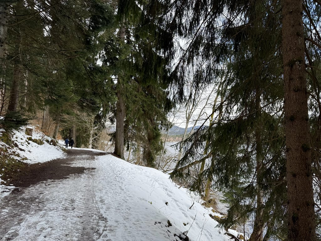 Rundgang um den Titisee