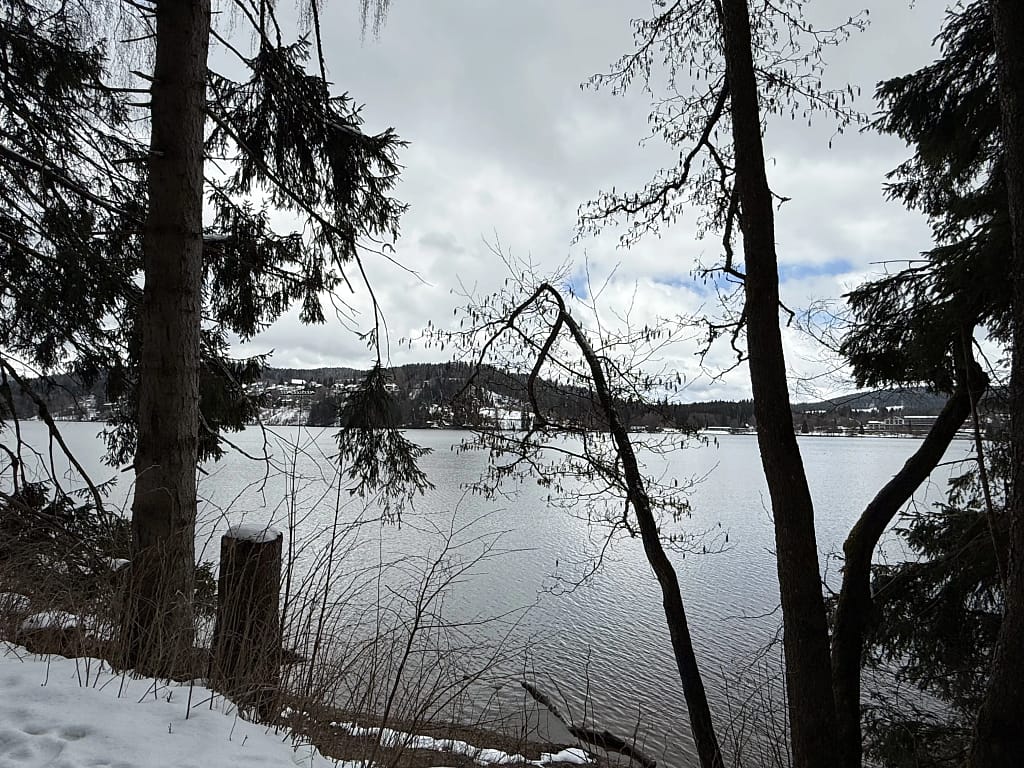 Rundgang Titisee