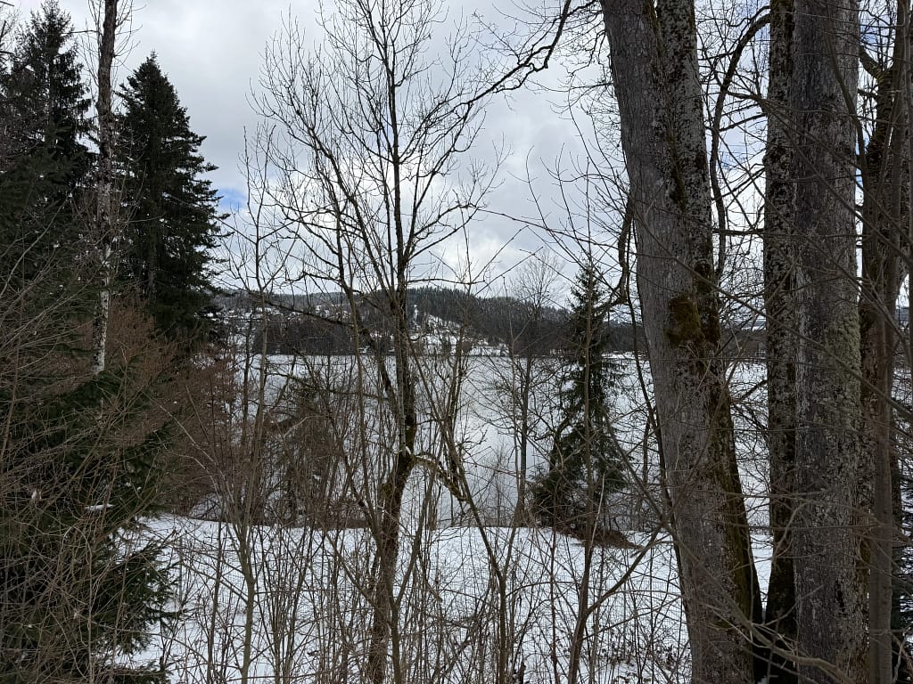 Rundgang Titisee