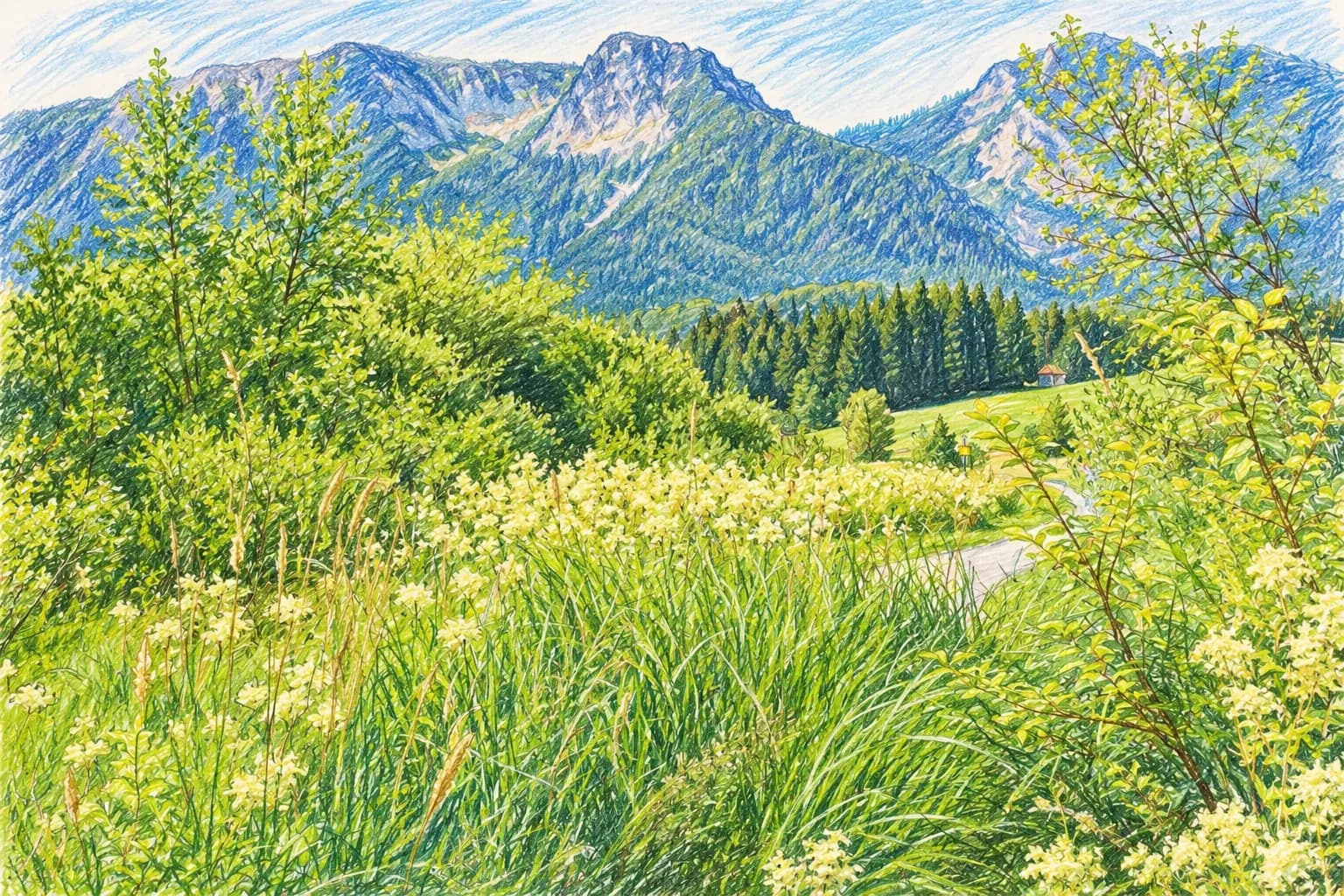 Moor Buntstiftzeichnung