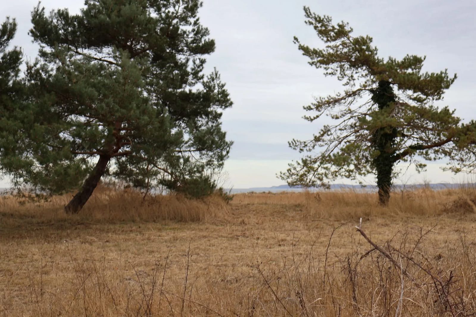 Kurztrip Sassnitz - Ostsee