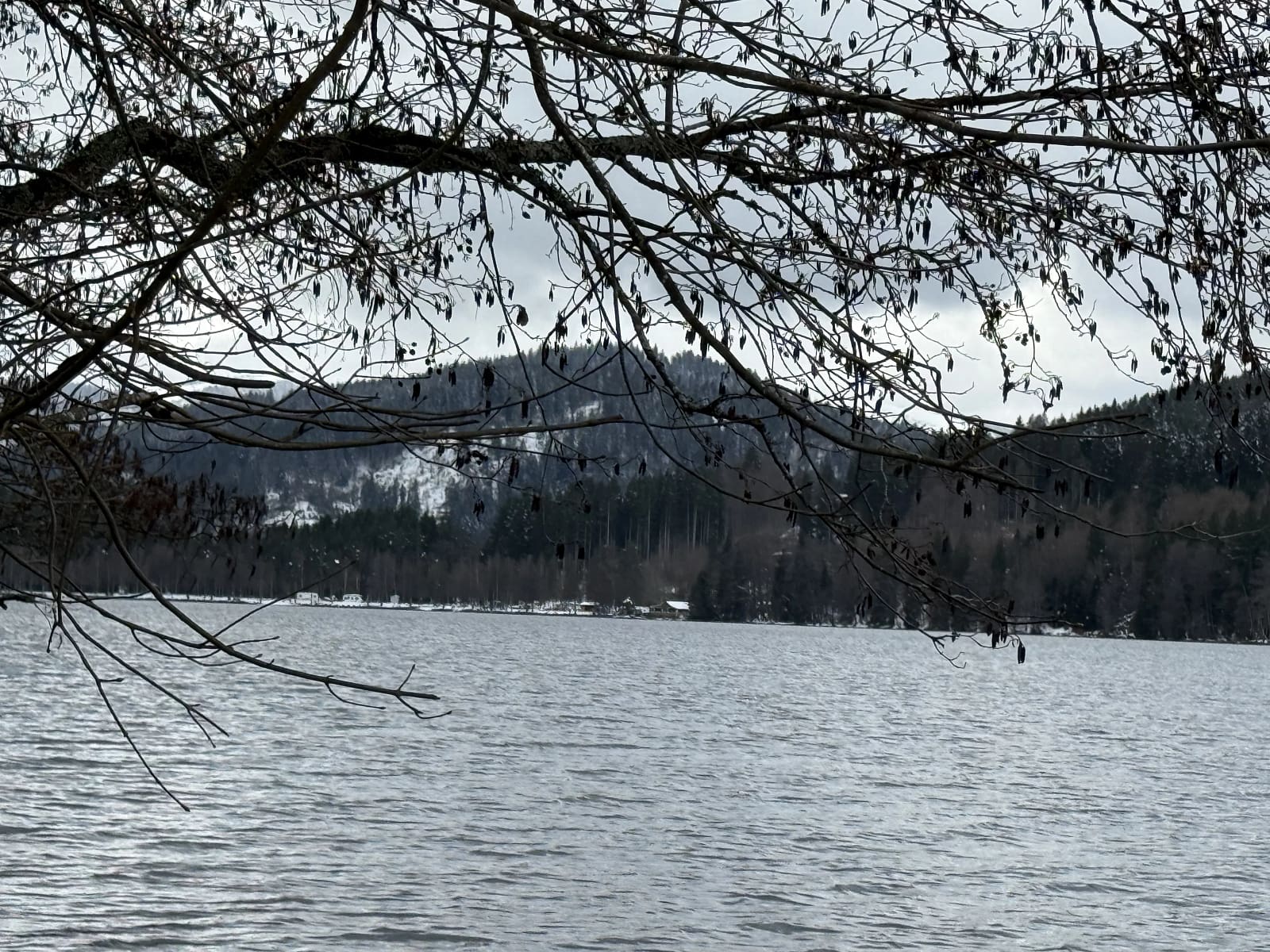 Titisee