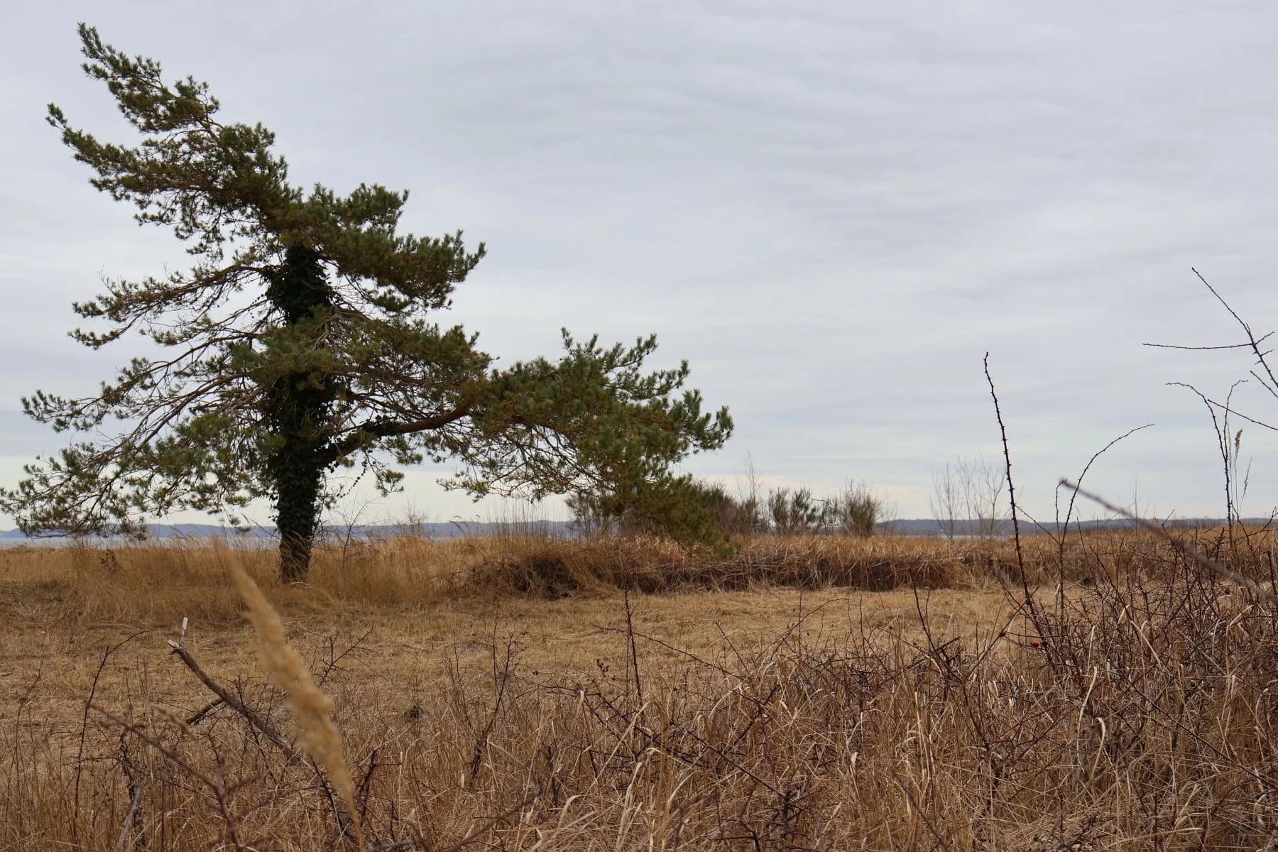 Kurztrip Sassnitz - Ostsee