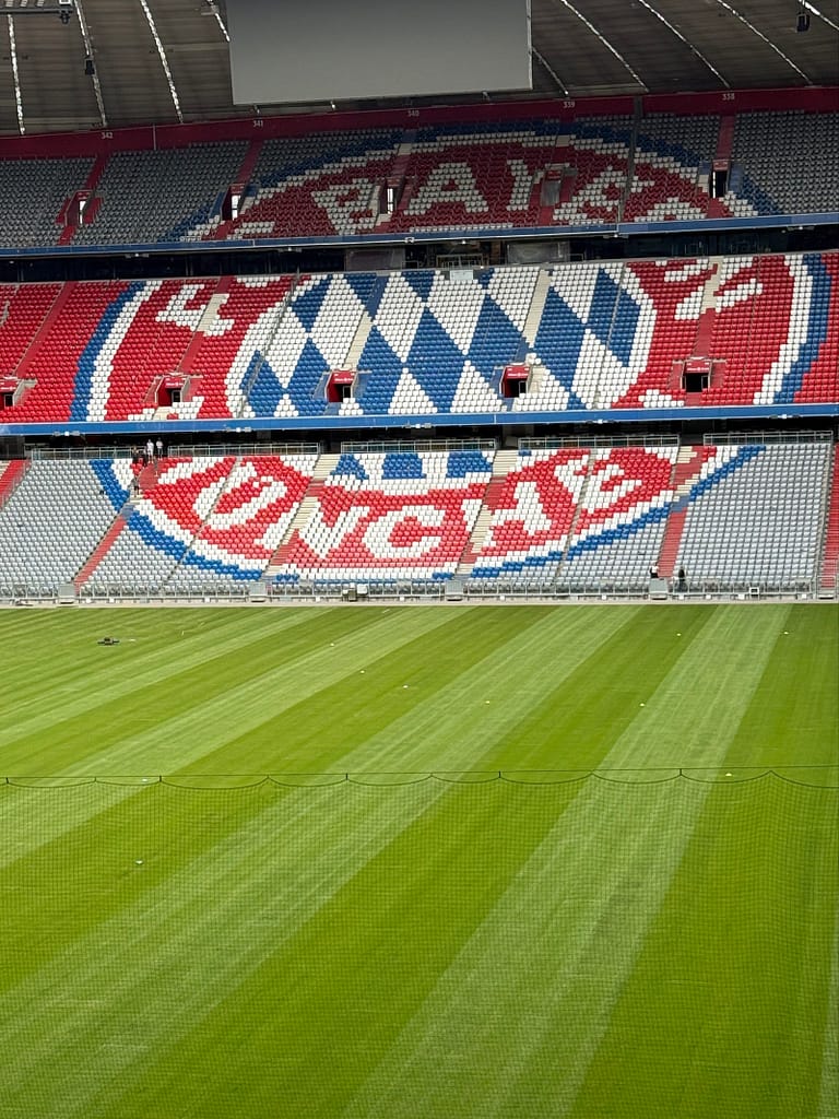 Logo in der Arena